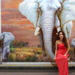 พิพิธภัณฑ์ภาพวาด 3 มิติ ใหญ่ที่สุดในโลก ณ เชียงใหม่ (Art in Paradise Chiang Mai)